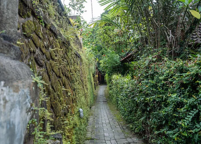 Pager - Nature View In Center